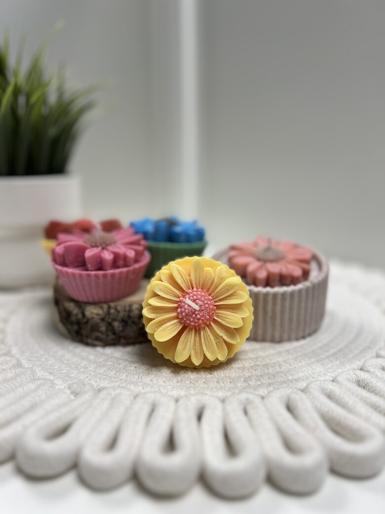 Aromātisko margrietiņu komplekts