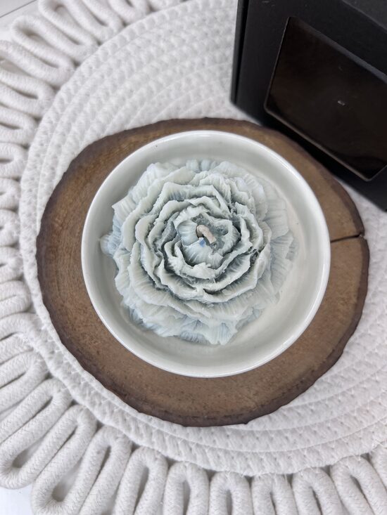 Akva peonija keramikas traukā