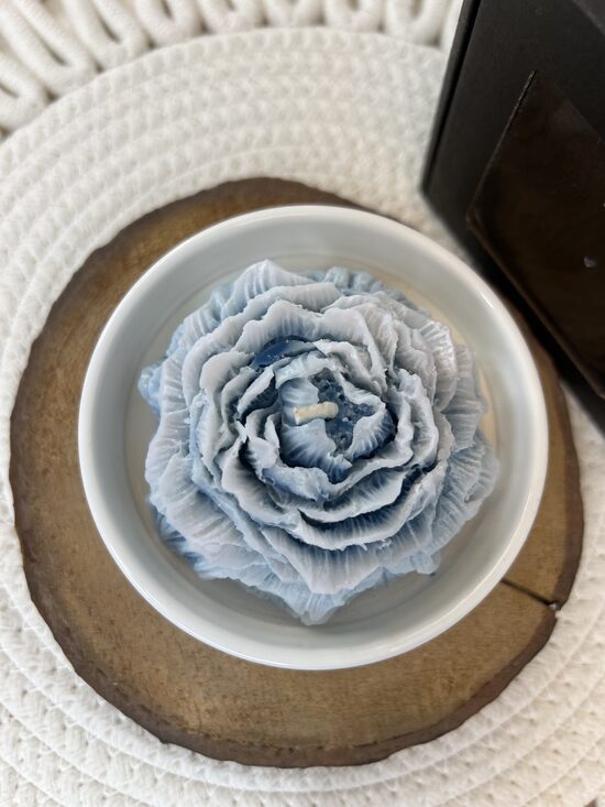 Tumši zila peonija keramikas traukā