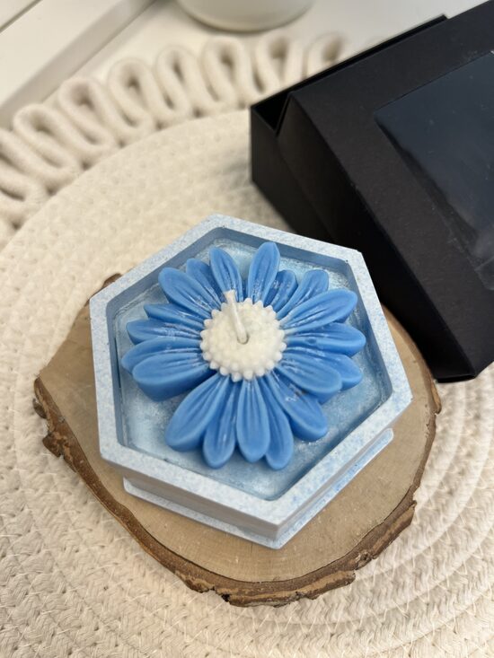 Zila margrietiņa akrila traukā